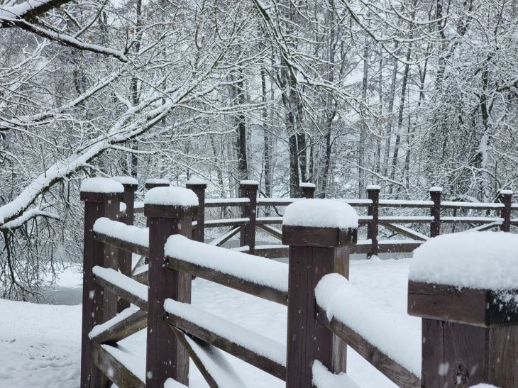 Horoskop für November: Sternzeichen, deren Leben sich dramatisch verändern wird Winter