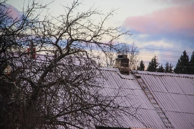 Do trees need to be covered for the winter: not all summer residents know about this Tree House