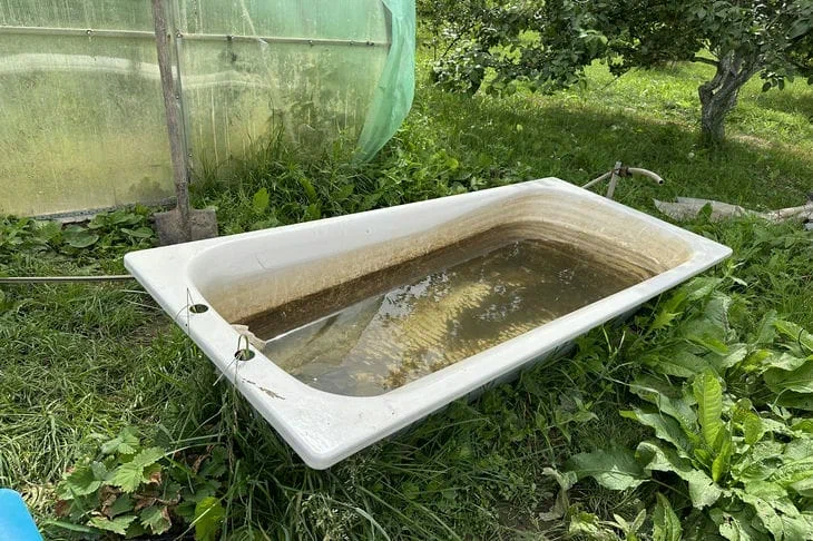 How to make a pond in the country: if you have an old bathtub, it's in the bag Bath