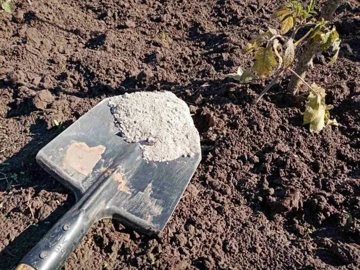 Geheimnisse der Verwendung von Asche im Winter: Was Gärtner noch nicht wissen Schaufel