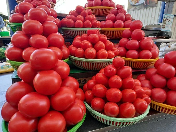 Den Sommerbewohnern wurde eine Tomatensorte genannt, die gegen Krankheiten resistent ist und mehr: Sie haben davon geträumt Tomaten