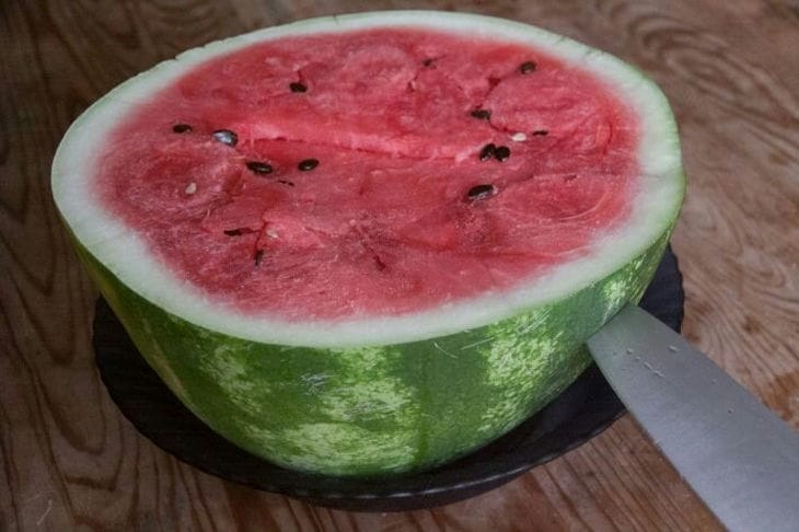 How Much Does the Heaviest Watermelon Grown in an Apartment Weigh: Impressive Figures Watermelon