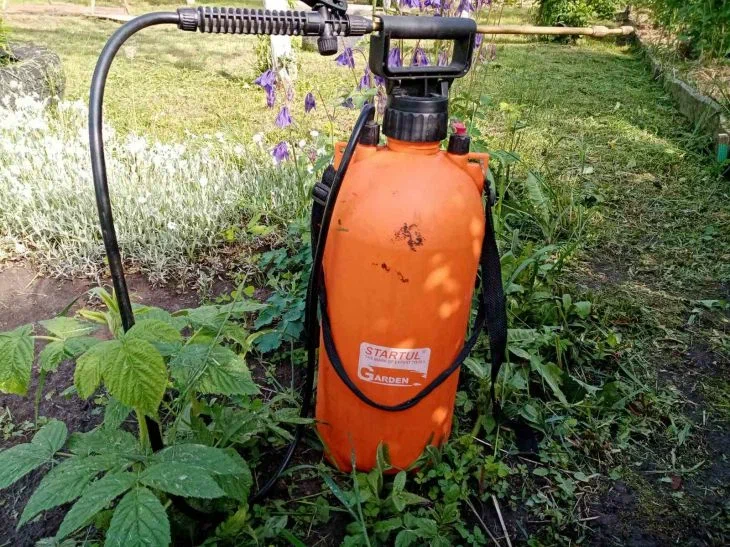 Quels pesticides ne doivent pas être utilisés dans votre région : l'emballage ne doit pas contenir cette inscription Atomiseur