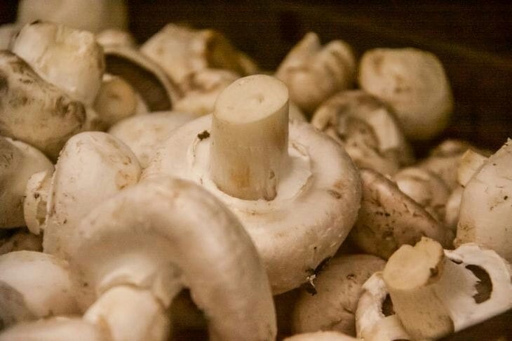 Correct and quick cleaning of champignons: what does flour have to do with it Champignons