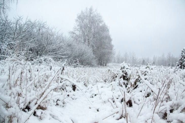 Quel jour férié est aujourd'hui : 2 décembre 2024 Neige