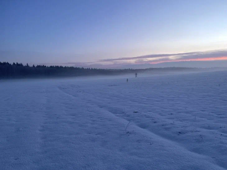 Qué día festivo es hoy: 16 de diciembre de 2024 Nieve