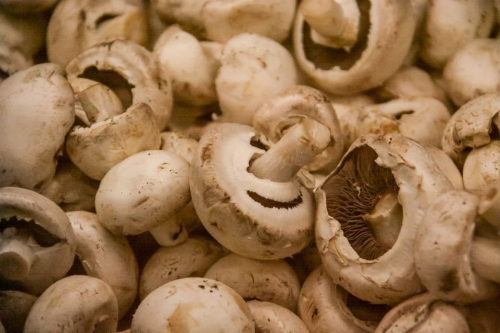 The result will pleasantly surprise you. How to properly wash champignons for frying mushrooms
