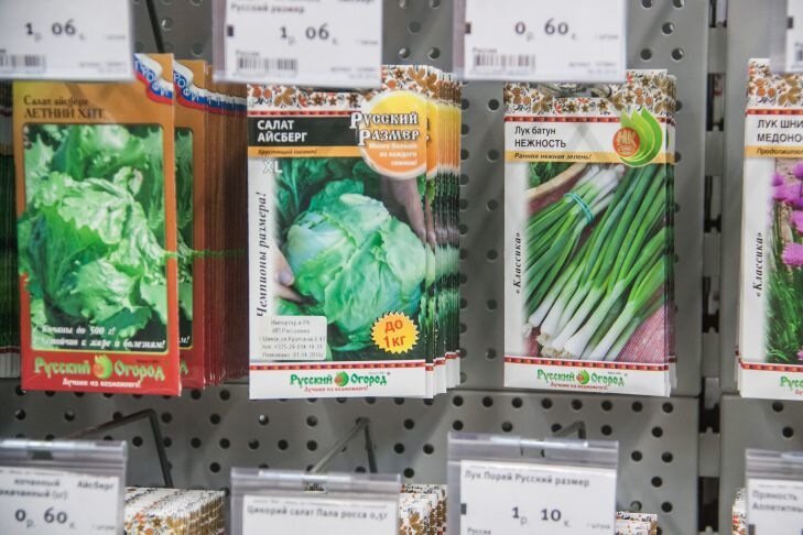 Can Hydrogen Peroxide Be Used to Treat Seeds: Many Are Mistaken Seeds