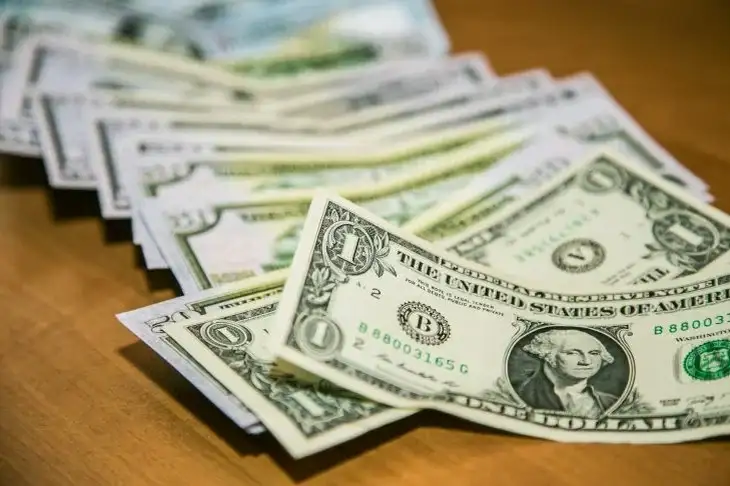 How to Remove Mold from Dollars: The Easiest Way Dollars