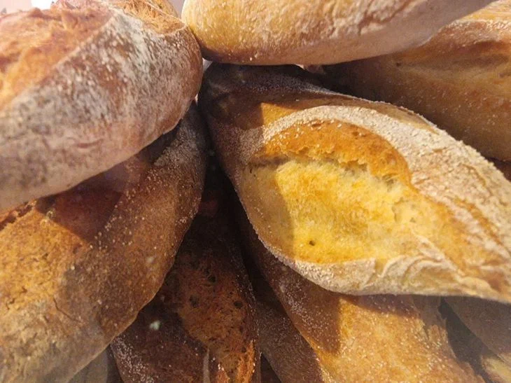 Not for Everyone: The Truth About the Gluten-Free Diet Bread