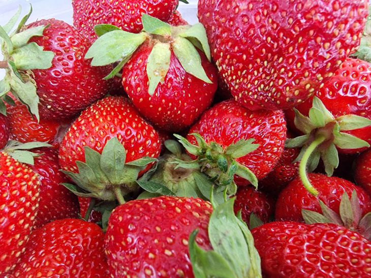Que planter à côté des fraises pour obtenir une récolte riche : vous récolterez les baies dans des seaux fraise