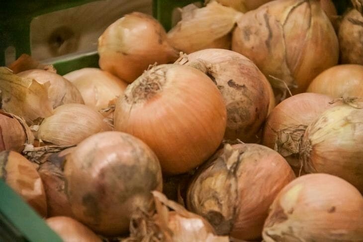 Why leave half an onion in the fridge: you can't eat it anymore Onion