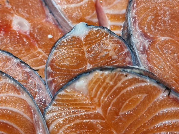 Want to Improve Your Memory? Include These 5 Foods in Your Diet fish