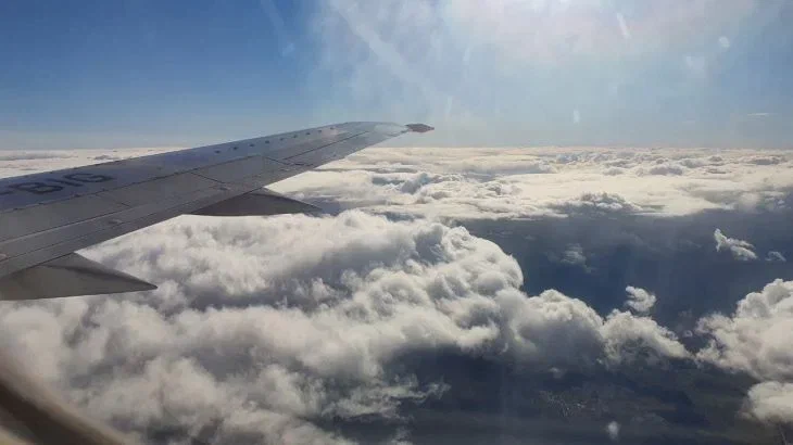 How to Make Flying with Your Pet More Comfortable and Safe: 5 Tips Airplane