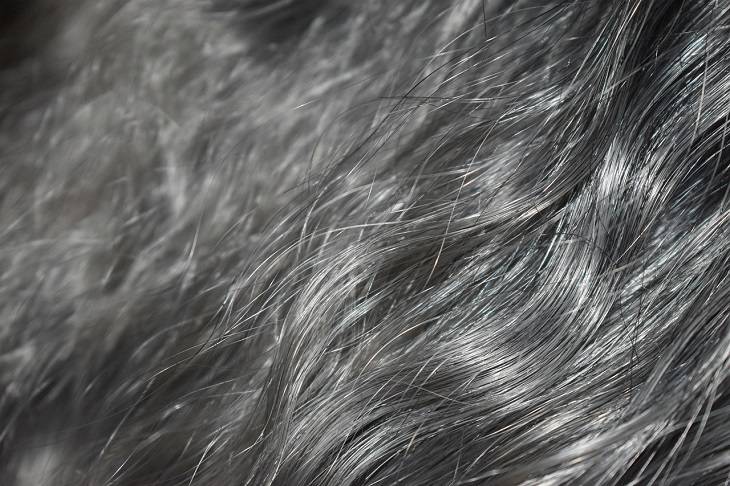 Se nombran las razones de la aparición de canas tempranas. cabello