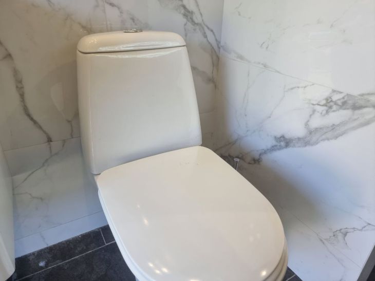 Why You Should Close the Toilet Lid Before Every Flush: Remember This for Life toilet