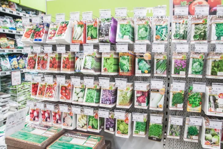 Which radish variety to choose for sowing in 2025: popular and proven Seeds