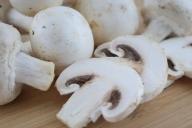 Champignon