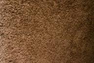 tapis