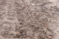 soil