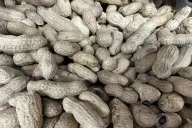 Walnuts