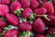 strawberries 